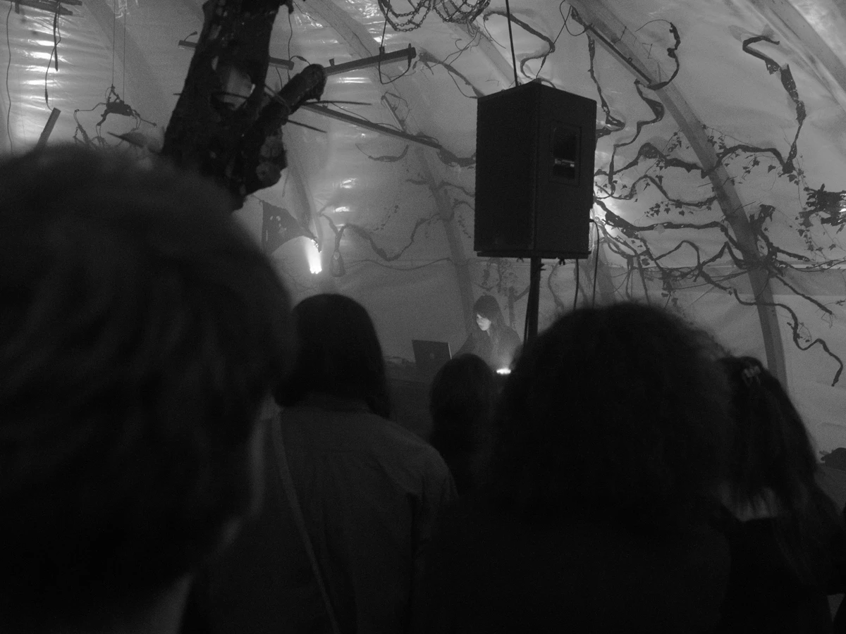 Black and white photograph of a concert. Looking through the crowd towards the performer on stage.